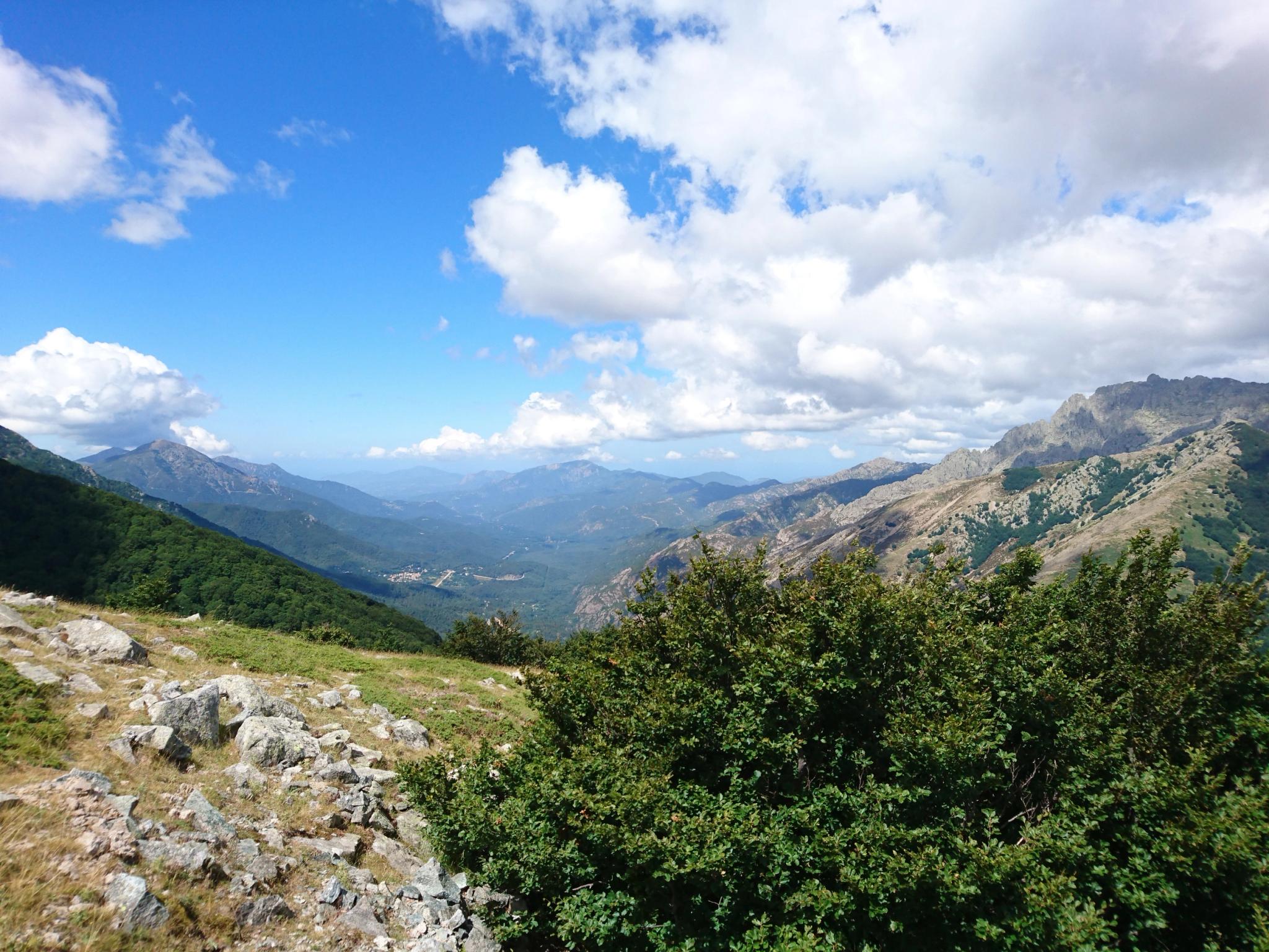 Alt à définir